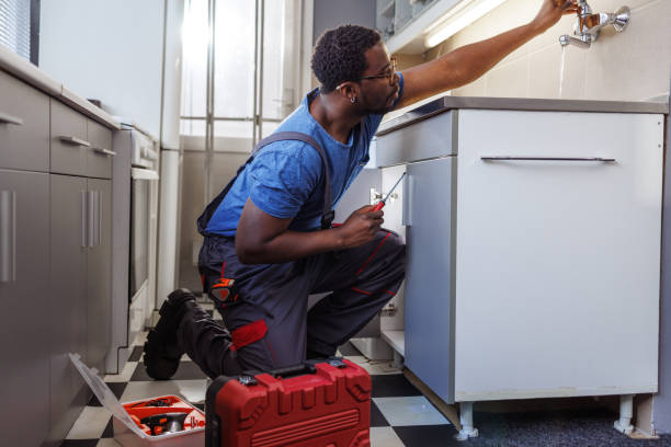  Seis Lagos, TX Plumbing Services Pros